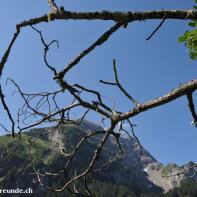 Lauenensee im Berner Oberland 073.jpg